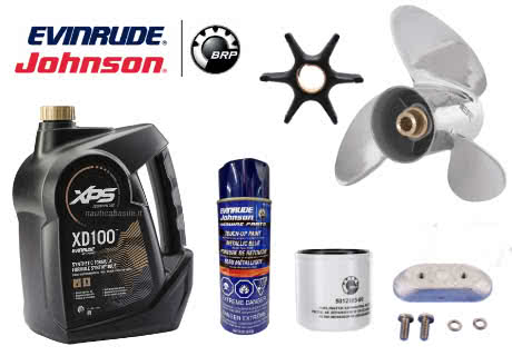 Evinrude, Johnson BRP, OMC