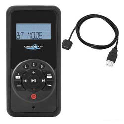 Telecomando portatile