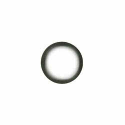 Crankshaft Seal Ring Evinrude Johnson BRP