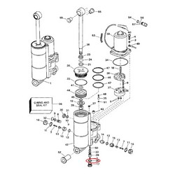 O-Ring Evinrude Johnson BRP