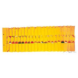 Contenitore a tasche per Gran Pavese