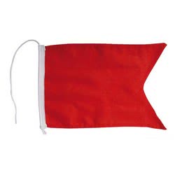 Bandiera di protesta regolamentari