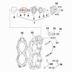 Valve Thermostat Plunger Evinrude BRP