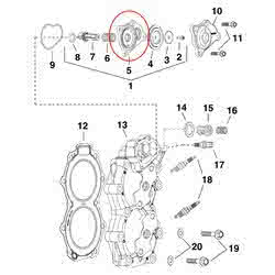 Valve Thermostat Plate Evinrude BRP