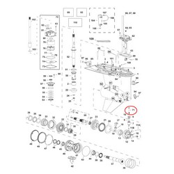 Vite per cambio piede Evinrude G2 BRP