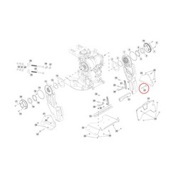 Vite dell'Anodo cavalletto Evinrude G2 BRP