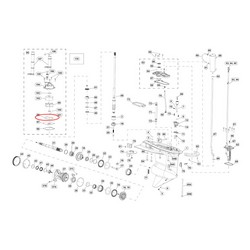 O-Ring Evinrude Johnson BRP