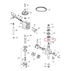 Crankshaft Seal