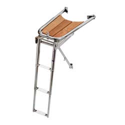 Delfiniera inox/teak con scaletta 3 gradini