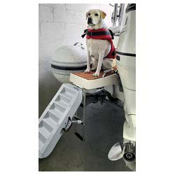 Scaletta per cani Paws Up