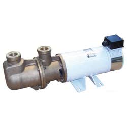 Elettropompa autoadescante monovite in bronzo 24V Pompa di Sentina
