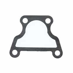 Guarnizione Termostato Evinrude Johnson BRP