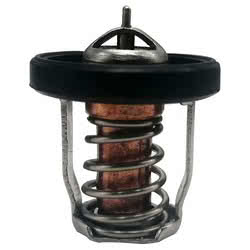 Termostato Evinrude Johnson BRP