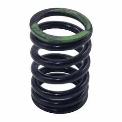 Valve Spring Johnson BRP