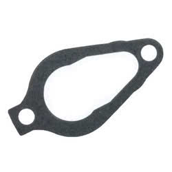 Guarnizione termostato