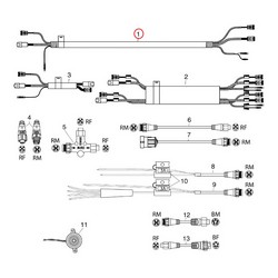 Ignition Harness Evinryde Johnson BRP