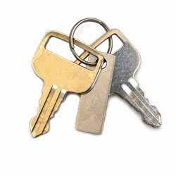 Evinrude G2 Starter Key n. 847