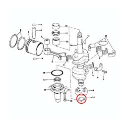 Anello Evinrude Johnson BRP