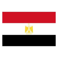 Bandiera Egitto 40 x 60 cm