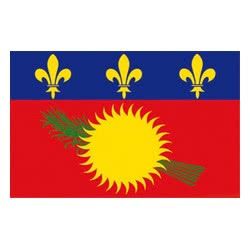 Bandiera Guadalupe 20x30