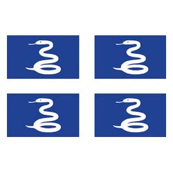 Bandiera Martinica 30x45