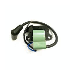Bobina Di Accensione Evinrude Johnson BRP