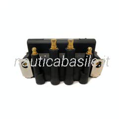 Bobina Accensione Evinrude Johnson BRP