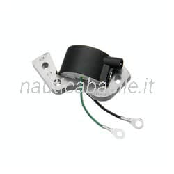 Bobina Accensione Evinrude Johnson BRP
