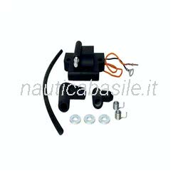 Bobina Accensione Evinrude Johnson BRP
