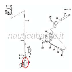 Sede Asta Cambio Evinrude Johnson BRP