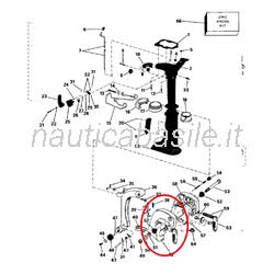 Cavalletto di Fissaggio Evinrude Johnson BRP