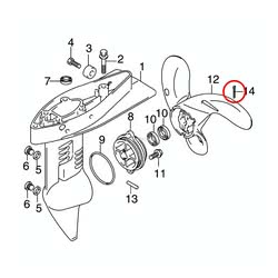 Coppiglia Evinrude Johnson BRP