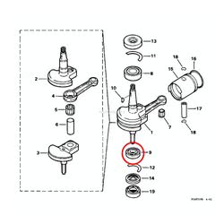Cuscinetto Albero Motore Evinrude Johnson BRP