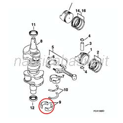 Cuscinetto Rulli Albero Motore Evinrude Johnson BRP
