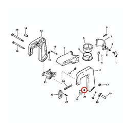 Dado Cavalletto Evinrude Johnson BRP