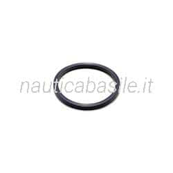 Anello Trim Tilt Evinrude Johnson BRP