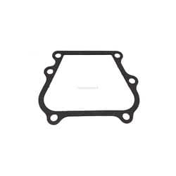 Guarnizione Evinrude Johnson BRP