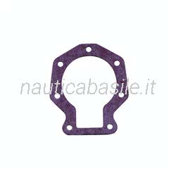 Guarnizione Carburatore Evinrude Johnson BRP