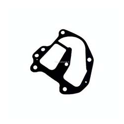 Guarnizione Collettore Evinrude Johnson BRP