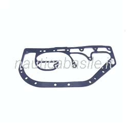 Guarnizione Collettore Evinrude Johnson BRP