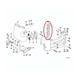 Guarnizione Collettore Evinrude Johnson BRP