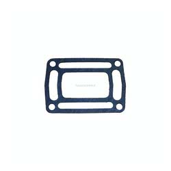 Guarnizione Evinrude Johnson BRP