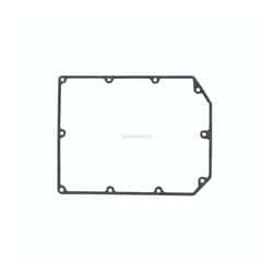 Guarnizione Evinrude Johnson BRP