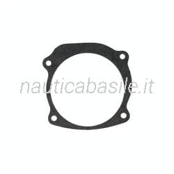 Guarnizione Pompa Acqua Motore Evinrude Johnson BRP