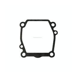 Guarnizione Pompa Acqua Evinrude Johnson BRP