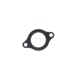 Guarnizione Termostato Evinrude Johnson BRP