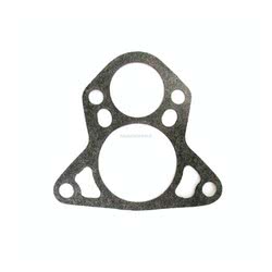 Guarnizione Termostato Evinrude Johnson BRP