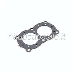 Guarnizione Testata Evinrude Johnson BRP