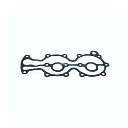 Guarnizione Testata Evinrude Johnson BRP