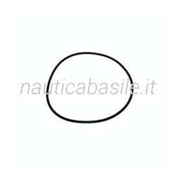Guarnizione O-Ring Testata Evinrude Johnson BRP